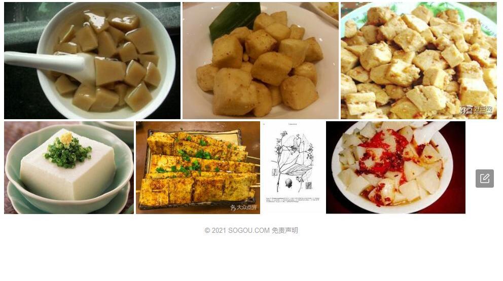 百色豆腐柴照片和图片/