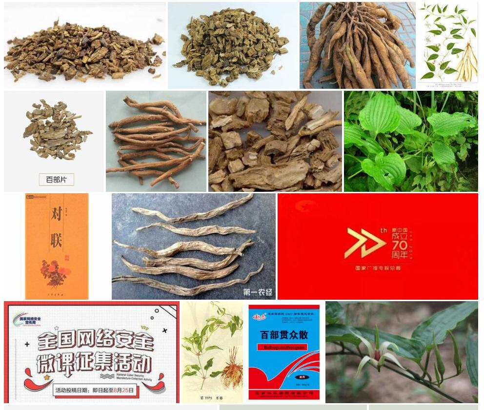 百部照片和图片/