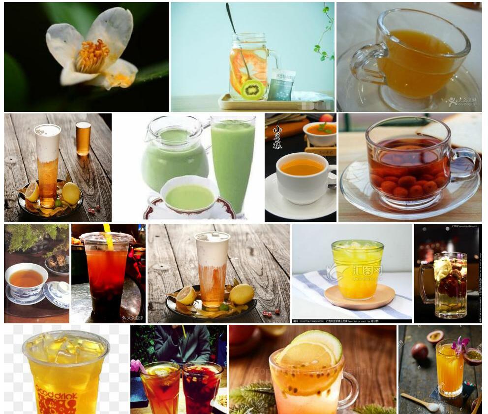 皱果茶照片和图片/