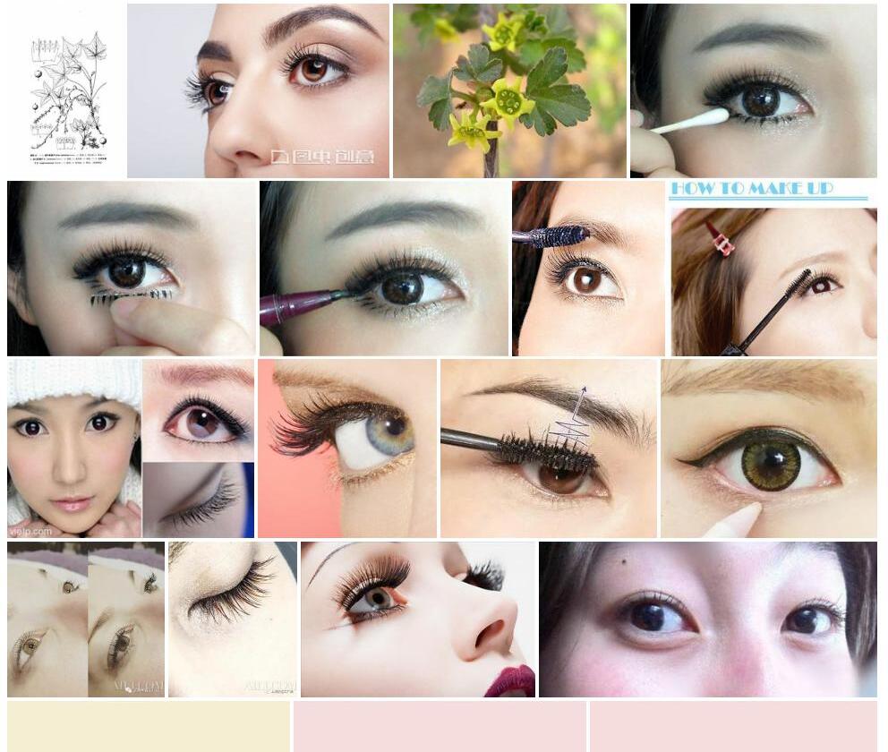 睫毛茶藨子照片和图片/