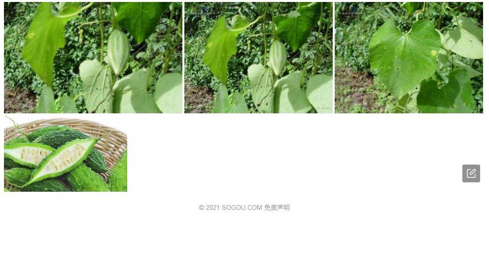 短序栝楼照片和图片/