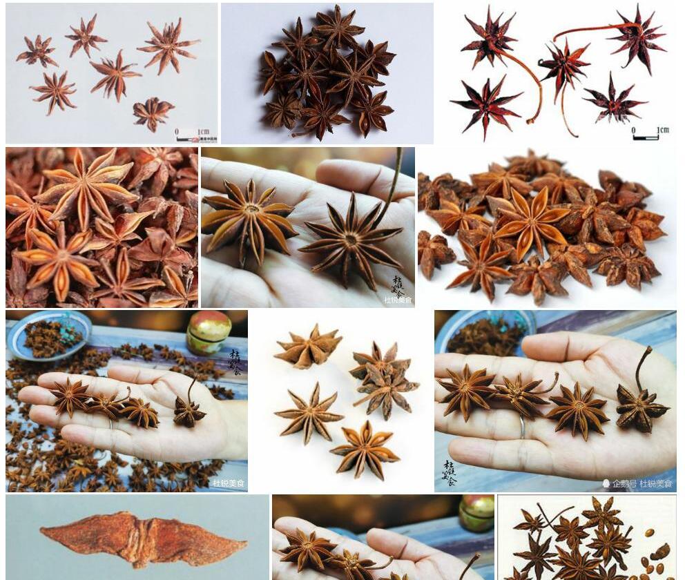 短柱八角照片和图片/