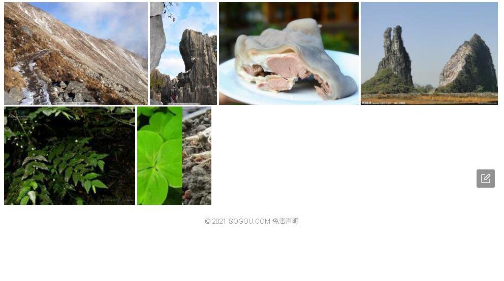 石山守宫木照片和图片/