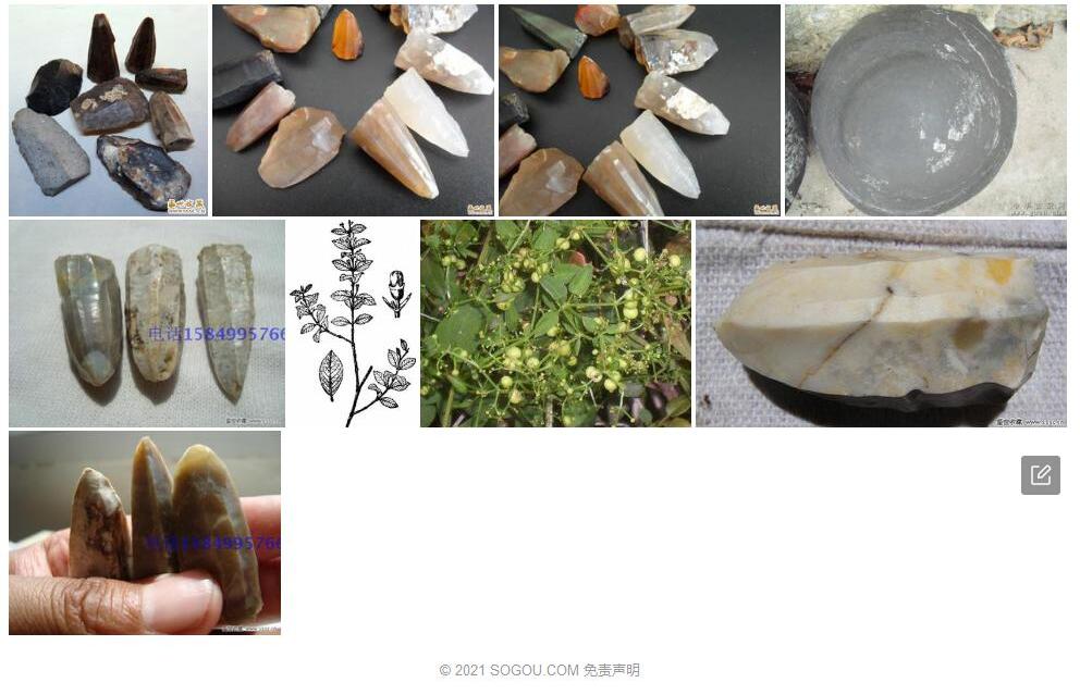 石核木照片和图片/