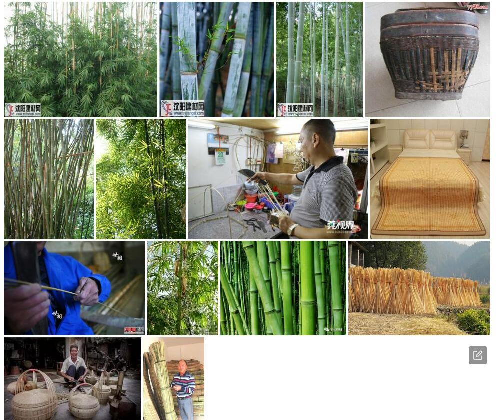破篾黄竹照片和图片/