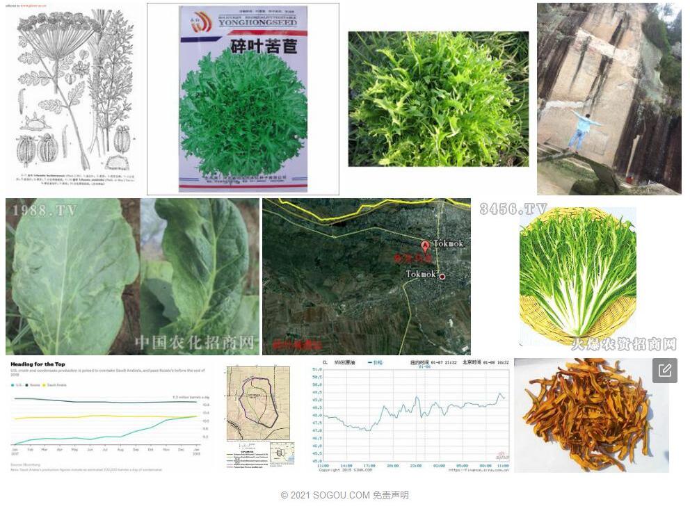 碎叶岩风照片和图片/