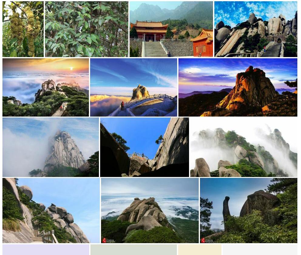 秀丽锥照片和图片/
