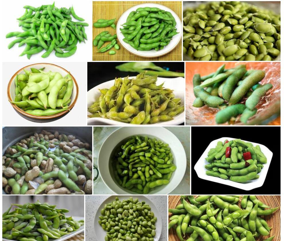 秃净灰毛豆照片和图片/
