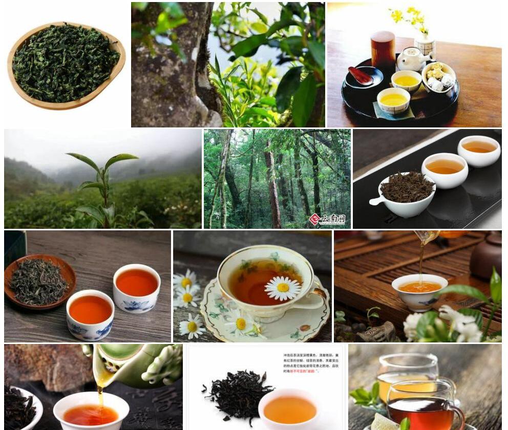 突肋茶照片和图片/