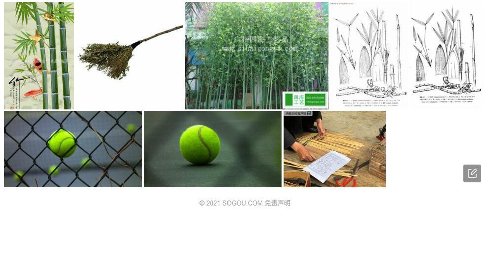 竹扫子照片和图片/