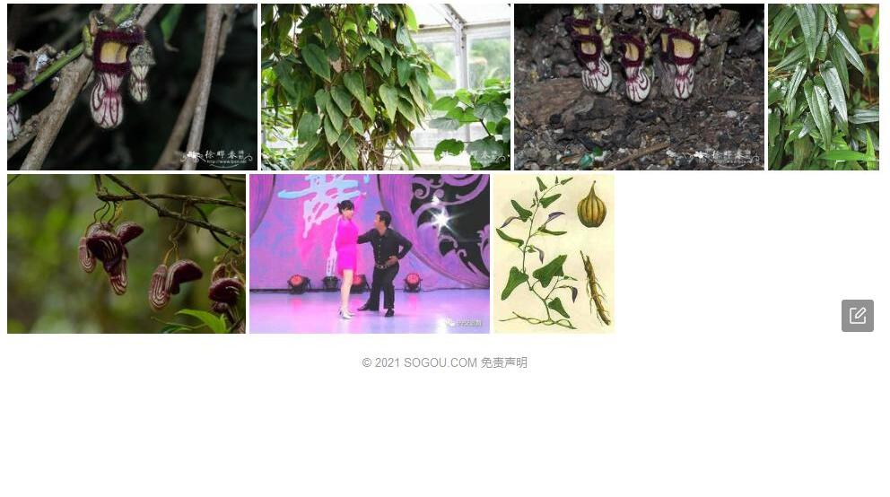 管兰香照片和图片/