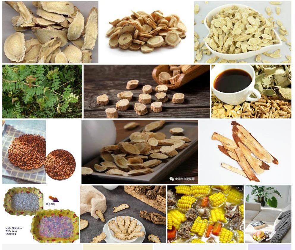 类变色黄耆照片和图片/