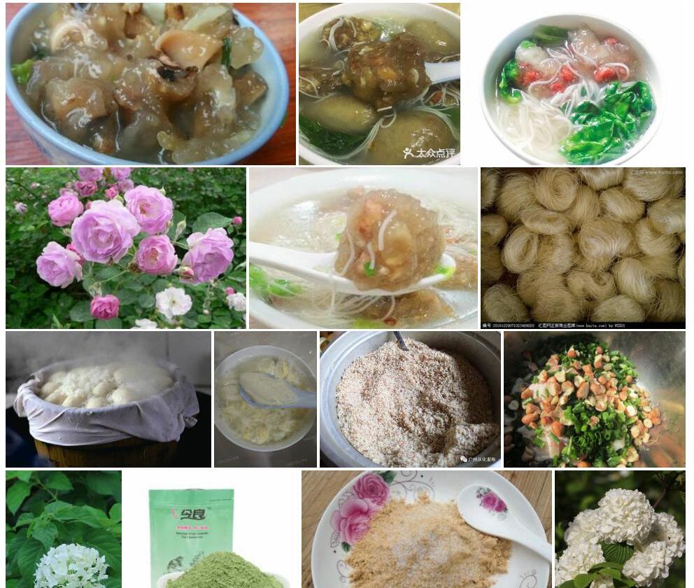 粉团照片和图片/