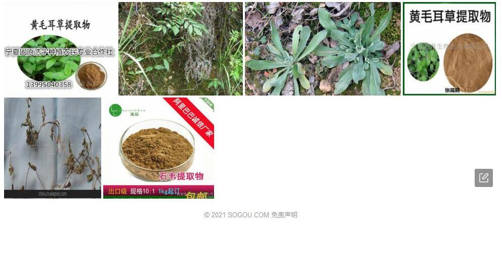 粉毛耳草照片和图片/