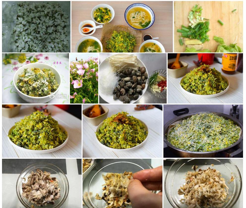 粉花无心菜照片和图片/
