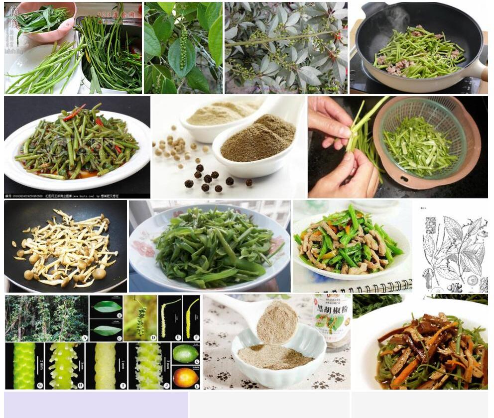 粗梗胡椒照片和图片/