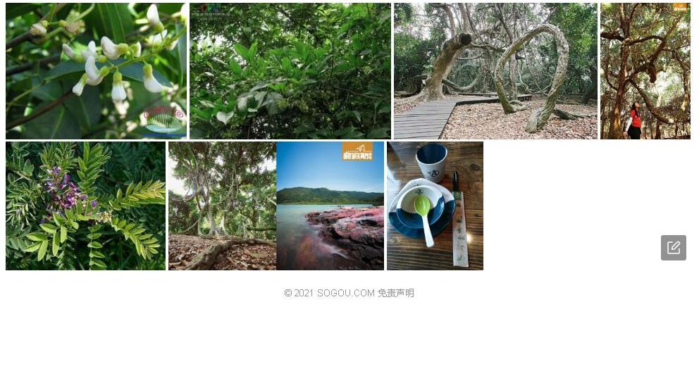 粤东鱼藤照片和图片/