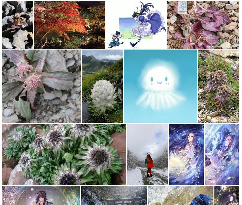 红叶雪兔子照片和图片/