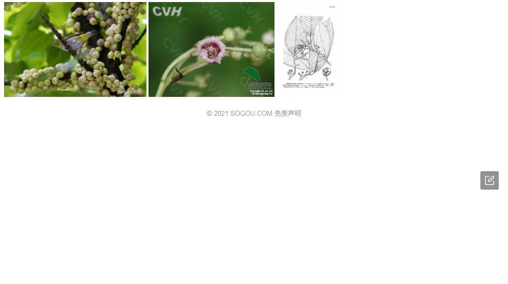 红果水东哥照片和图片/