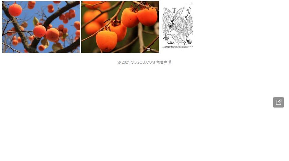 红枝柿照片和图片/
