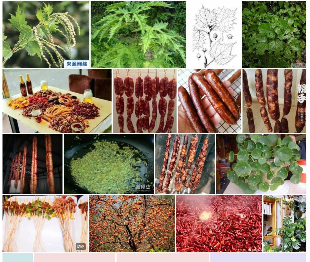 红火麻照片和图片/