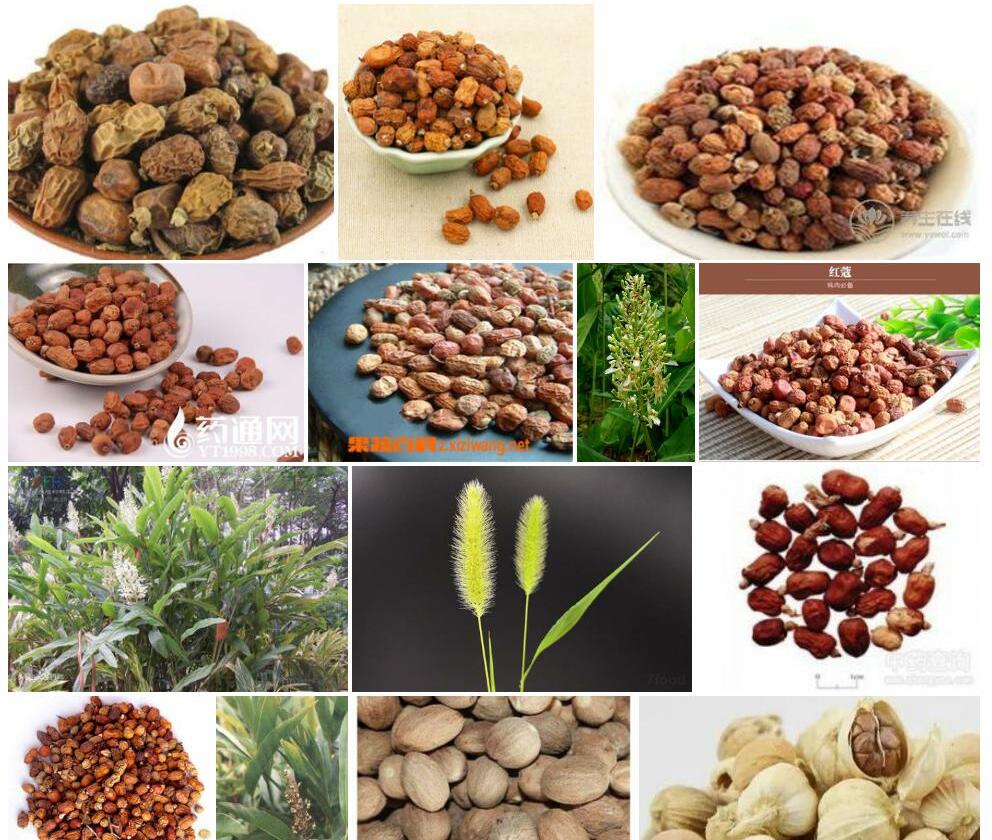红豆蔻照片和图片/