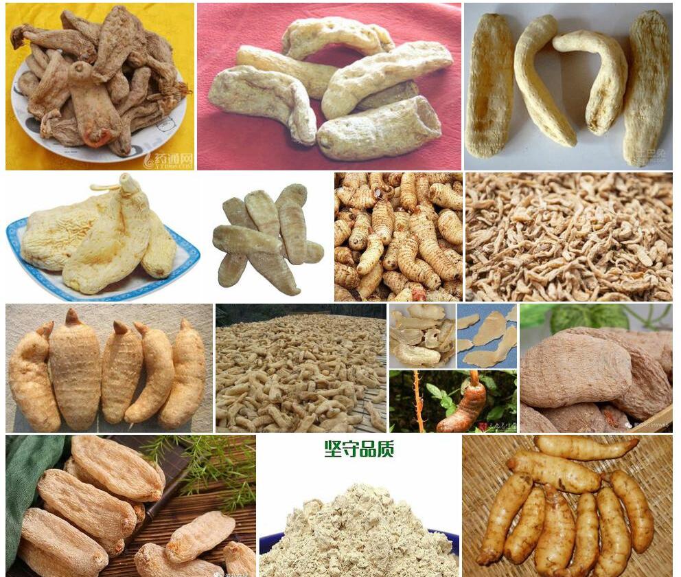 细天麻照片和图片/