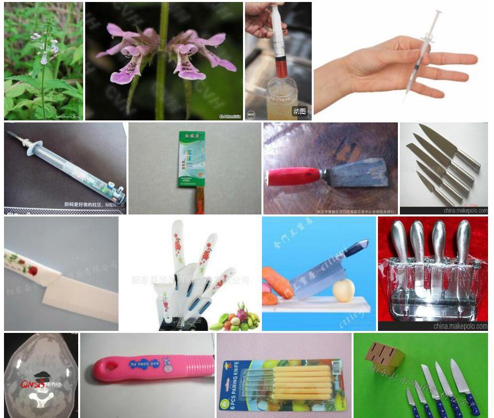 细柄针筒菜照片和图片/
