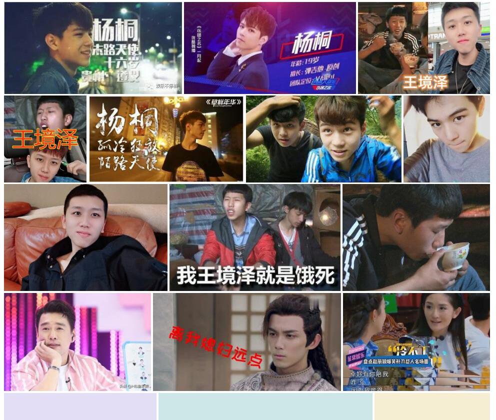 细梗杨桐照片和图片/