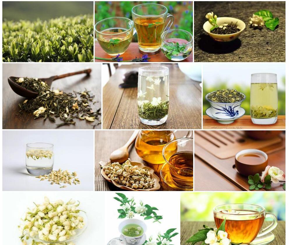 细花短蕊茶照片和图片/