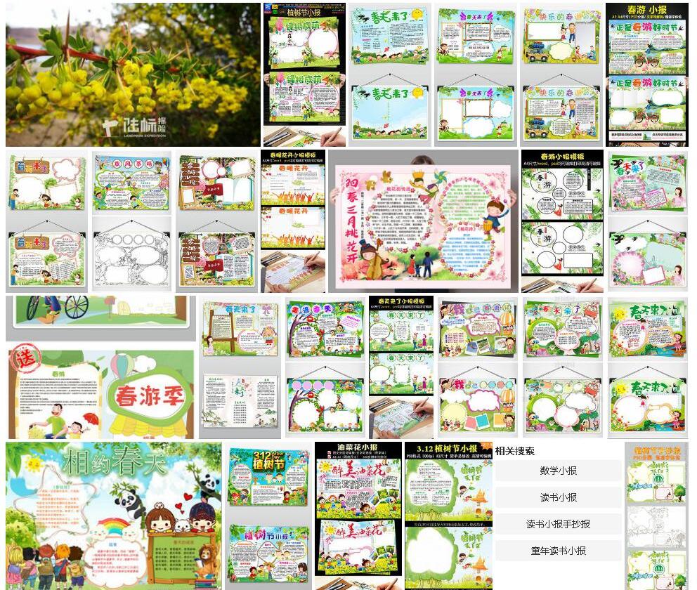细裂小报春照片和图片/