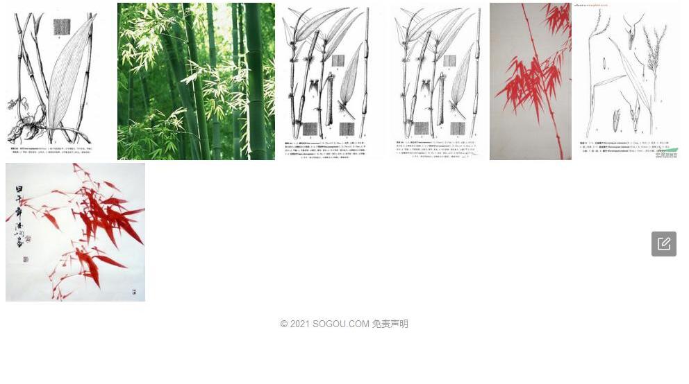 绒毛赤竹照片和图片/