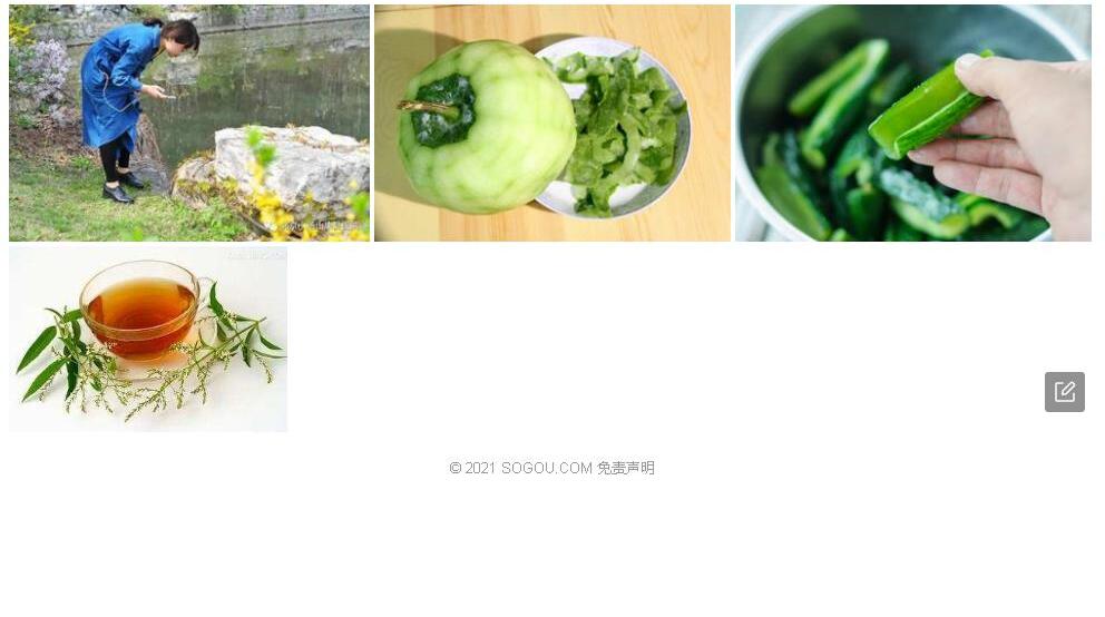 绒毛黄耆照片和图片/