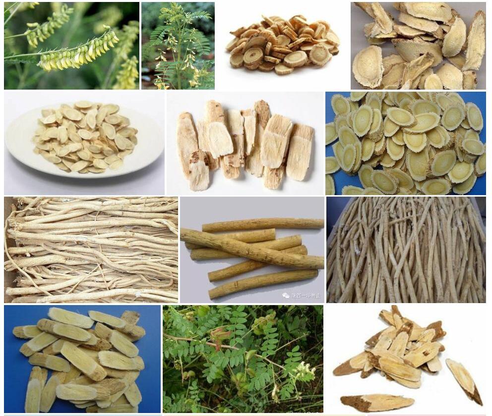 绵果黄耆照片和图片/