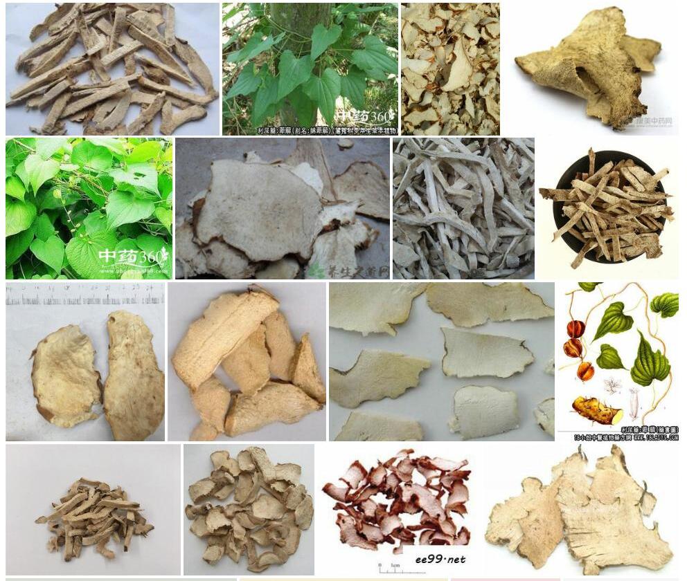 绵萆薢照片和图片/