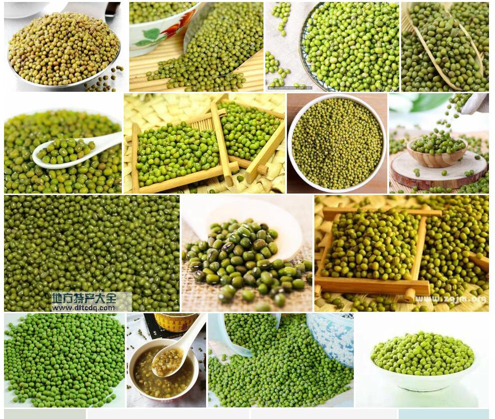 绿豆照片和图片/