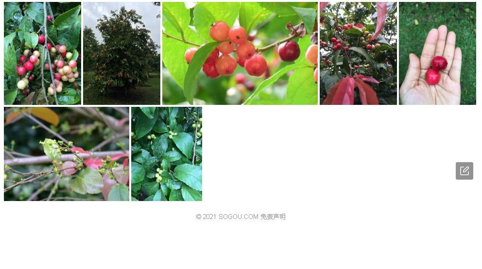 罗比梅照片和图片/