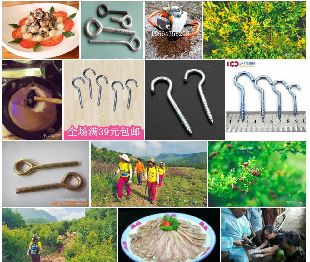 羊眼子照片和图片/