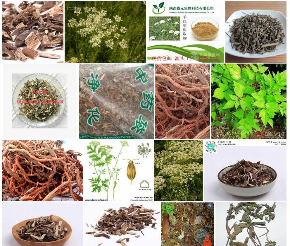 羊红膻照片和图片/