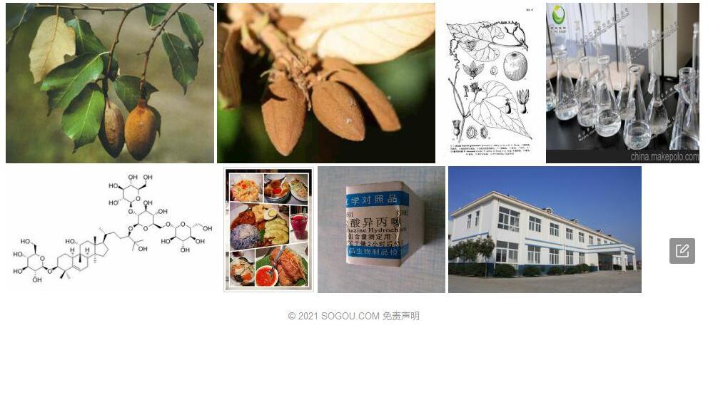 翅子罗汉果照片和图片/