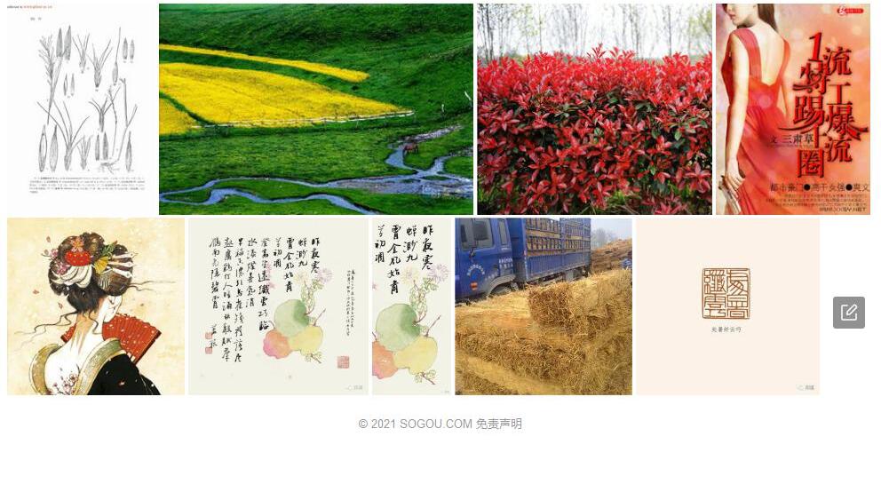 肃草照片和图片/