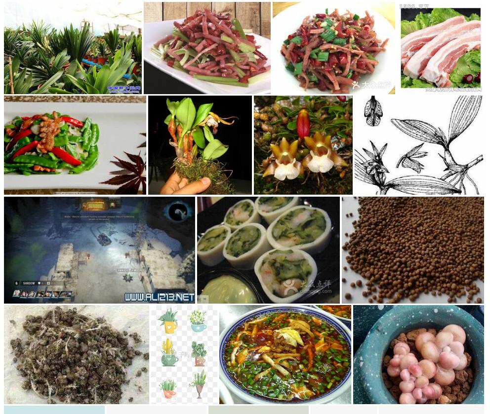 肉兰照片和图片/