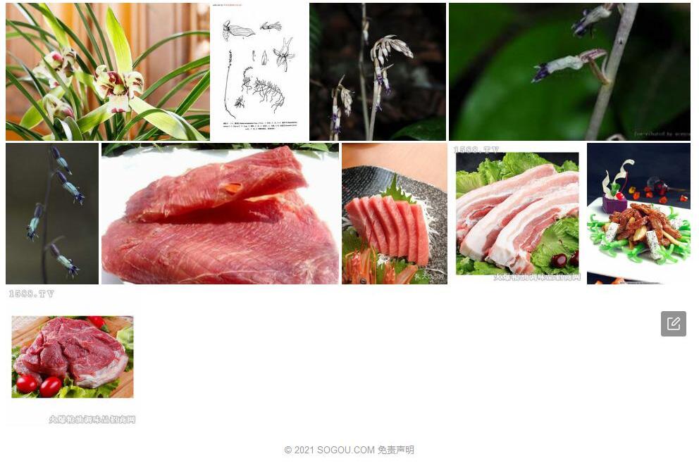 肉药兰照片和图片/