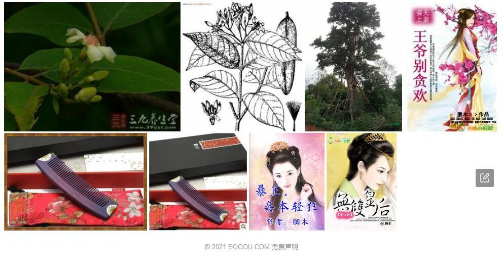 胭木照片和图片/