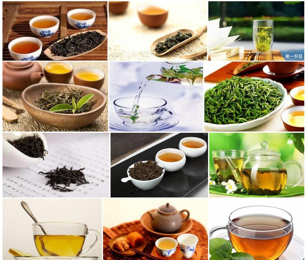 腺叶离蕊茶照片和图片/