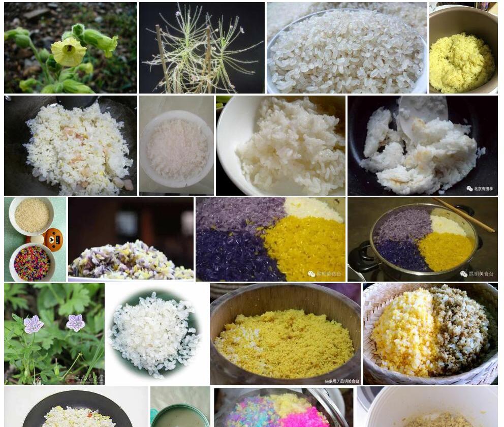 腺毛米饭花照片和图片/
