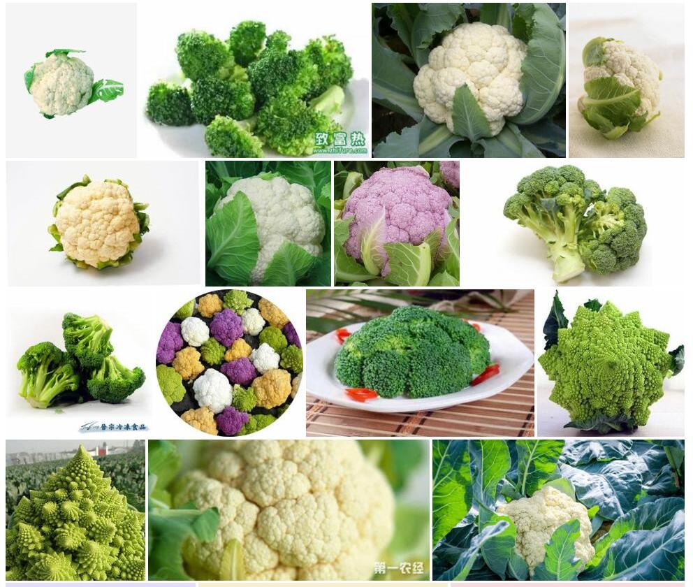 花椰菜照片和图片/
