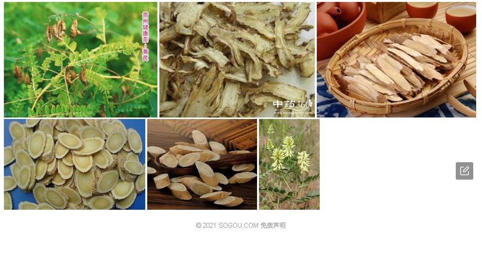 苦黄耆照片和图片/