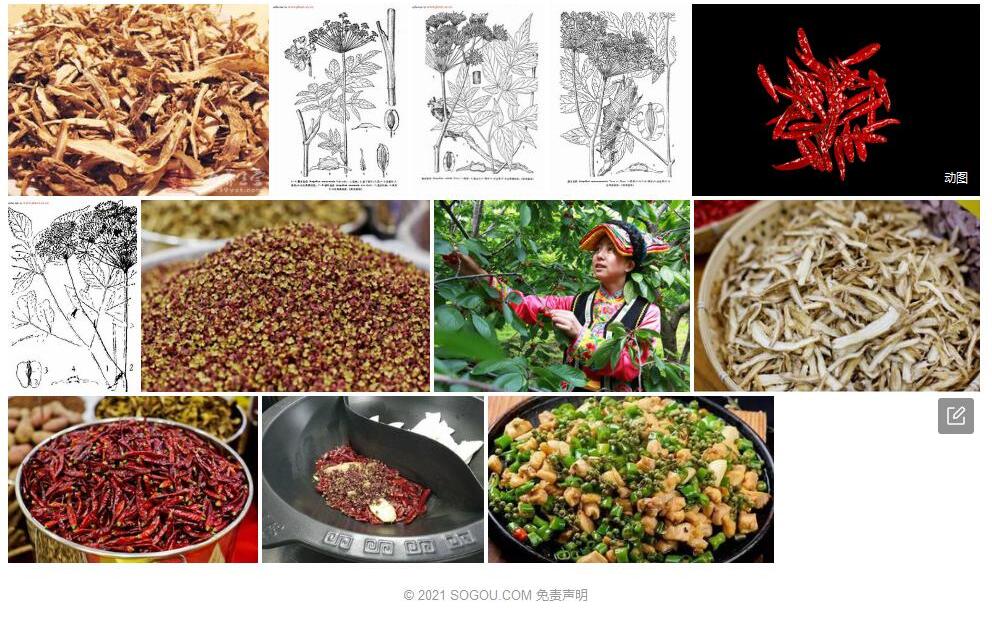 茂汶当归照片和图片/