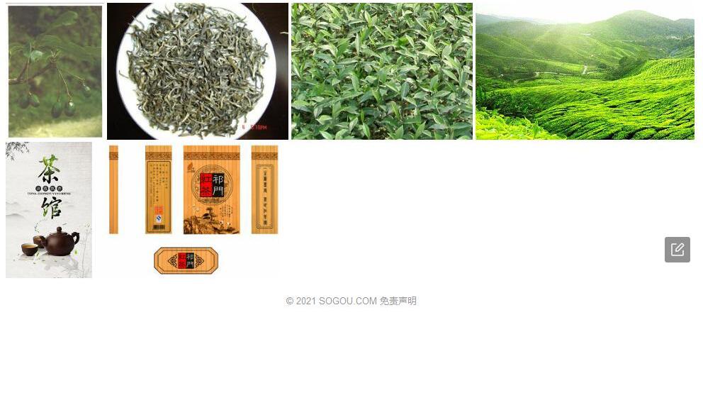 茶槁楠照片和图片/